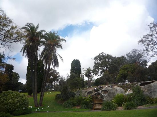 Im Bot. Garten selbst tummelten sich statt den ueblichen Tauben Kakadus.