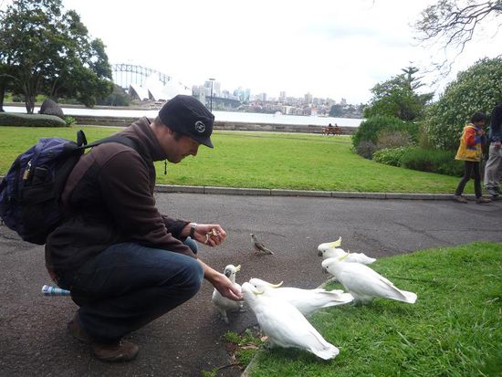 Die aber genauso gefraessig waren, aber suesser....SWEEEEET!