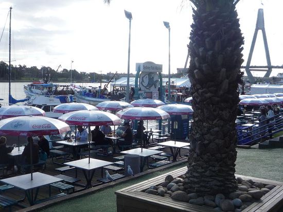 Wir setzten uns direkt an den Hafen wo wir durch Sonnenschirme vor allem vor den vielen Moewen Schutz fanden.