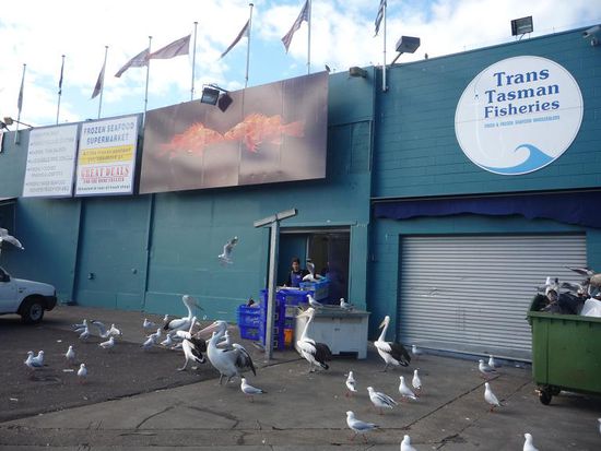 Hunger haben hier nicht nur die Menschen...