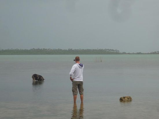 Im Norden der Insel besuchten wir dann die Schweine, die hier wie die Einwohner bei Ebbe auf Fischfang gehen.