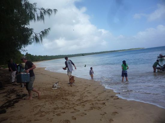 Nach einer halben Stunde Fahrt erreichten wir Ueleva, unsere kleine Trauminsel.