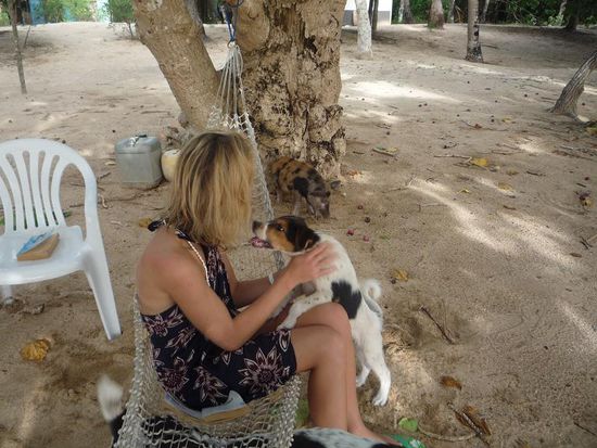 ...wenn man dabei nicht immer von dem kleinen Welpen Timboli gestört würde, der zusammen mit seinem Kumpel dem gescheckten Schwein (hier hinten vorm Baum getarnt) die Gegend unsicher machte.
