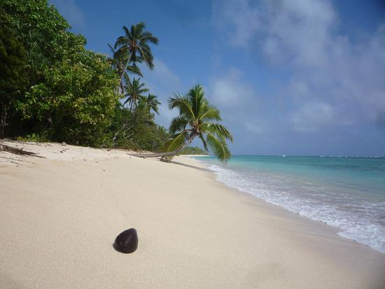 Wo wir unter Kokosnusspalemen entspannten.