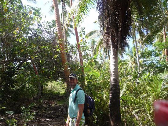 Und durch den Insel-Busch...