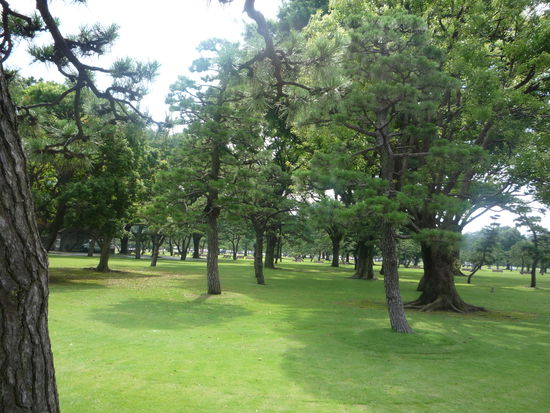 Nach dem hektischen Stadtleben,machten wir uns auf zum Koenigspalast, der umgeben ist von gepflegten Gaerten. Der Boden ist hier nicht aus Gras, sondern aus Moos!