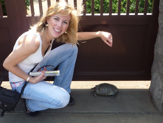 Schildkroeten laufen hier frei rum. Diese wollte unter der Tuer durch, war aber schon zu gross. Da kam uns die rettende Idee&gt; Nici, Butch ist bald nicht mehr alleine!