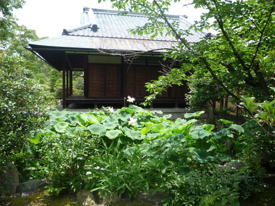 Im nur 10min. entfernten Garten "Shoseijen"genossen wir die Ruhe. Die Pflanzen vor diesem Teehaus sind uebrigens ueberdimensionale Seerosen.