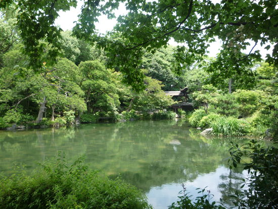 Mit Sicht auf den Teich im Park machten wir unser wohl verdientes Picknick.
Die Idylle fand allerdings ein jaehes Ende: Die japanischen Muecken hatten grosse Freude uns deutsche Touristen aus ihrem Park zu vertreiben. Resultat&gt; wir fluechteten mit Mueckenstichen (Hannes 5, Ines 34)...