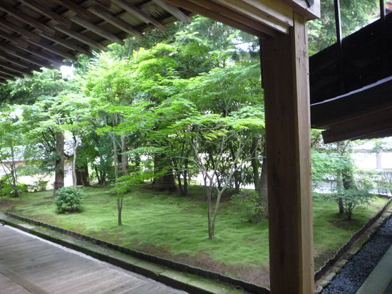 Durch das Moos wirken Japans Waelder haeufig wie eine Maerchenlandschaft.