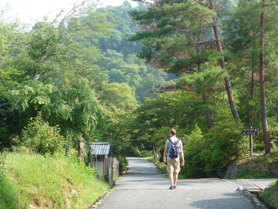 Entspannend war da der Weg bergab, auf dem&amp;#12288;uns tolle Schmetterlinge und RIESEN Bienen begegneten.