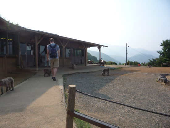 Oben angekommen waren wir dann umgeben von vielen seiner Artgenossen, waren aber durchgeschwitzt u wollten erst einmal ins KLimatisierte...