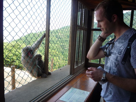 Oben bekamen wir zur erfrischung gekuehlte Taschentuecher. Diese Affenmutter rechnete schon mit Futter, aber Hannes musste sich erstmal um sich kuemmern...