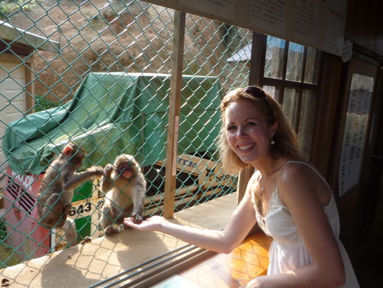 Hand-shaking auf affisch!