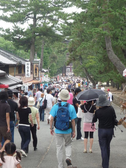Auf dem Weg zum "Grossen Buddha". Ein echter Geheim-Tipp