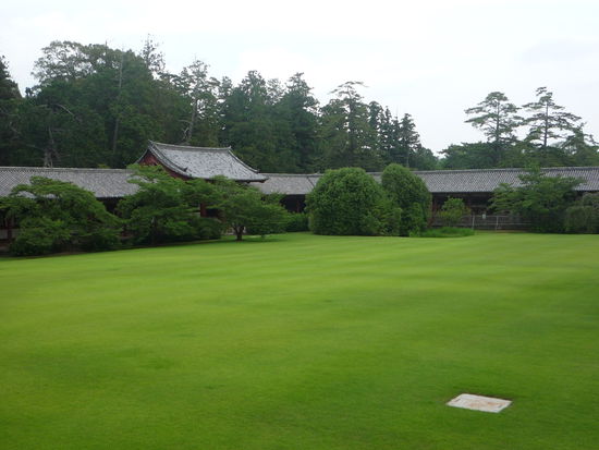 Aussicht vom T&amp;#333;dai-ji.Und da sagt nochmal jemand wir brauchen englischen Rasen...pah!