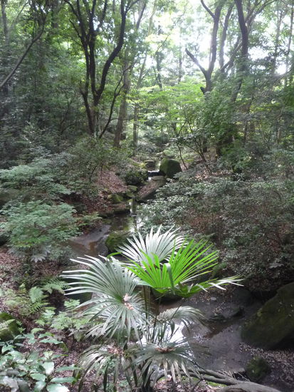 Beeindruckt hat uns dieser Park vor allem wegen seiner besonderen Pflanzen. Vile Palmen und das mitten in der Metropole...toll!