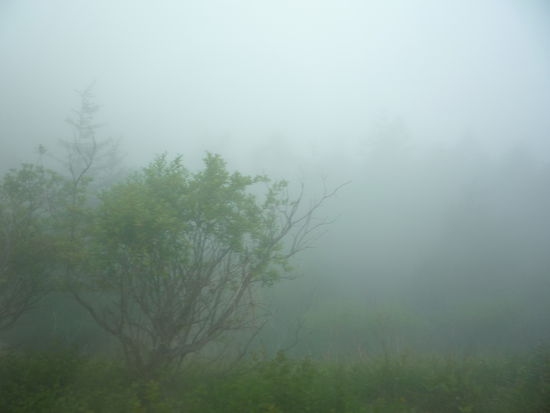 Um zum Gipfel zu kommen mussten wir erstmal durch die Wolken fahren.