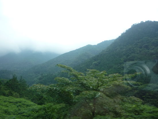 Unterhalb der Wokendecke waren wir wieder von der gruenen japanischen Bergwelt umgeben.