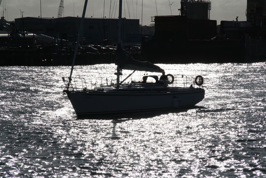 am Hafen von Auckland
