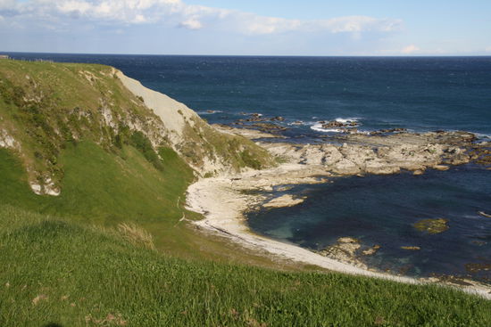 in Kaikoura