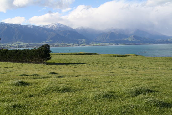Kaikoura