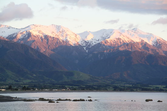 morgens um halb sechs in Kaikoura