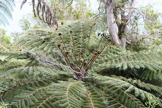 Der Abel Tasman National Park