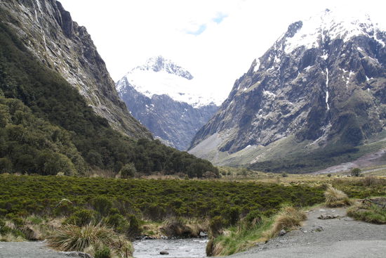 durch die Milford Sounds