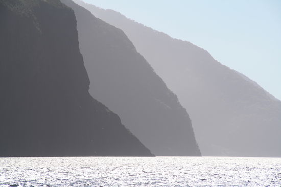 Der Milford Sound im Nachmittagslicht