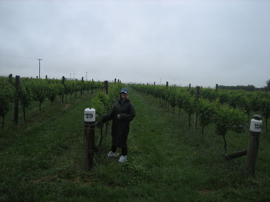 arbeiten bei Wind und Wetter (vor allem bei Wind und Regen)
