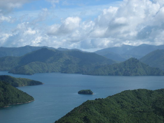 in der Naehe von Picton