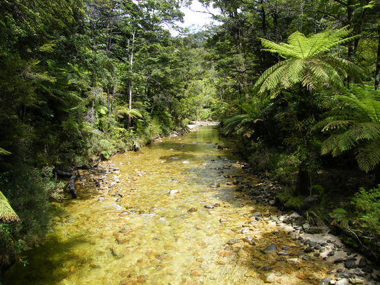 Abel Tasman National Park