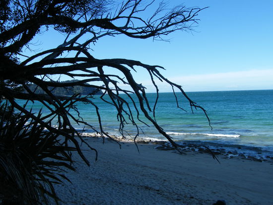 Abel Tasman National Park