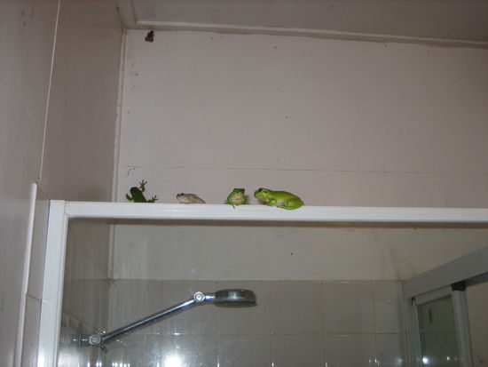 Ich musste nie alleine duschen...