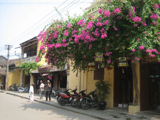 in Hoi An
