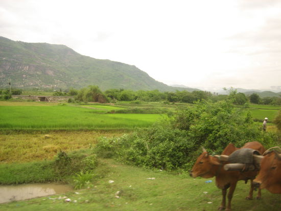 auf der Fahrt nach Mui Ne
