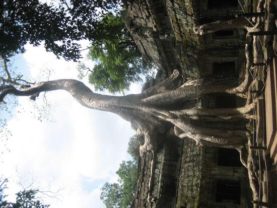 was die Natur so alles kann...