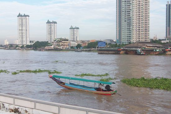 Blick auf dem Fluss von unserer Terasse