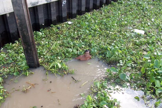 ...im schmutzigen Menam Chao Phraya...