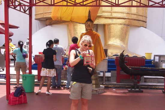 Vögelchen fliegen lassen bringt Glück!