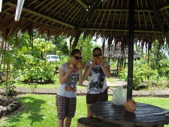 lecker Kokosnusswasser