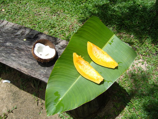 der Mix von Kokos und Papaya ist echt lecker