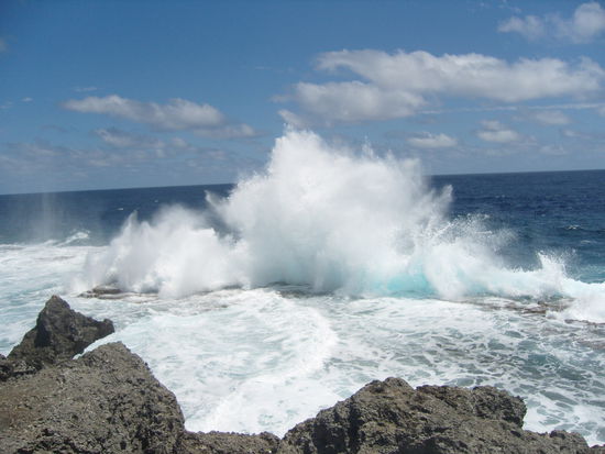 blowholes