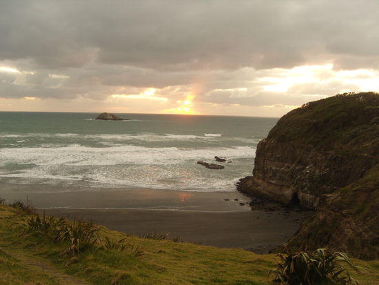 am Muriwai Beach