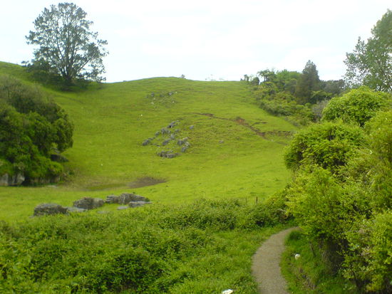 die grünen Hügel Neuseelands