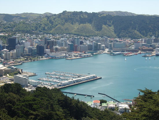 das schöne Wellington