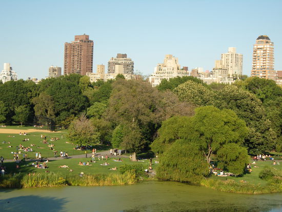 der schöne Central Park