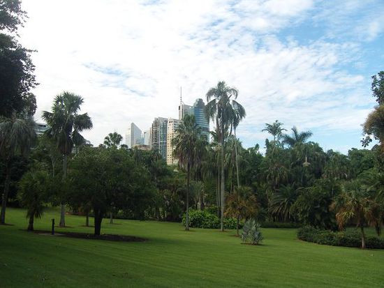 botanischer Garten