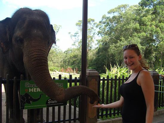 hehe...Dumbo hat Hunger und Hannah findet's toll